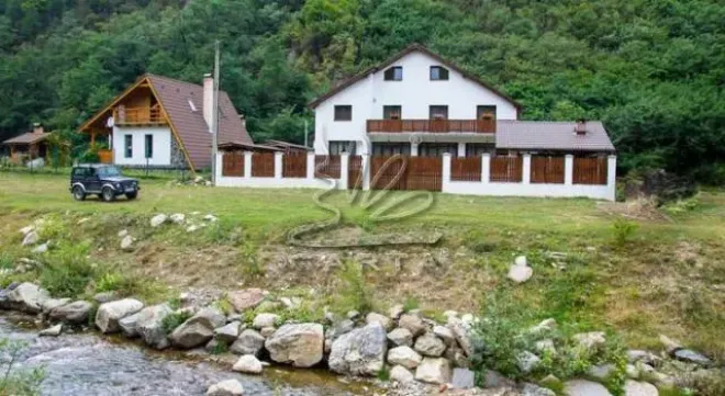 POPASUL JUNILOR