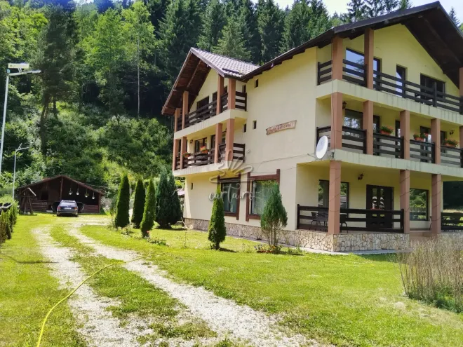 Vila CHEILE SATICULUI