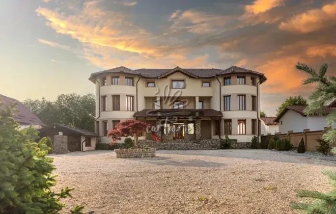 Vila TRANSILVANIA MANSION