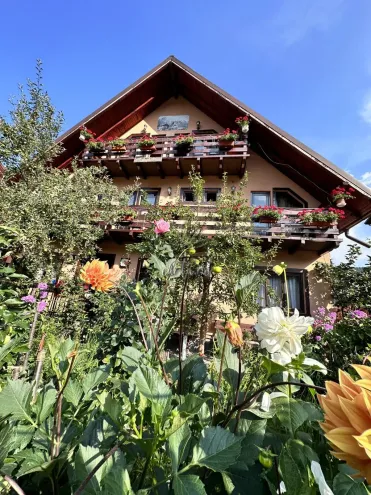 Camere de Închiriat CASA TOPLICEANU